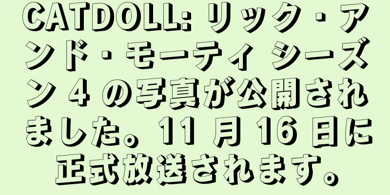 CATDOLL: リック・アンド・モーティ シーズン 4 の写真が公開されました。11 月 16 日に正式放送されます。