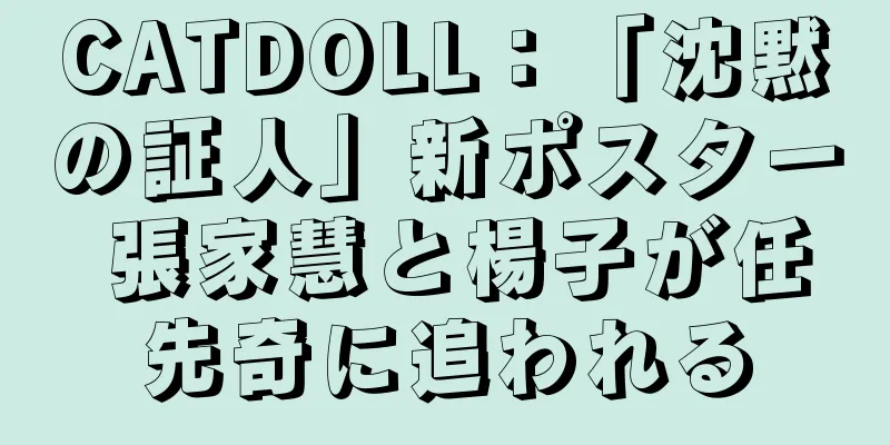 CATDOLL：「沈黙の証人」新ポスター 張家慧と楊子が任先奇に追われる