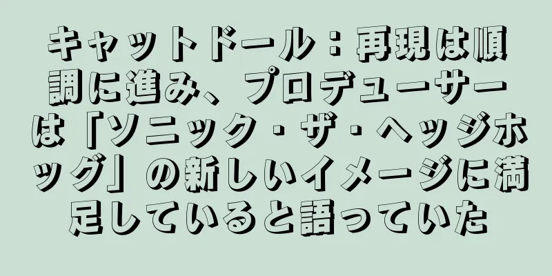 キャットドール：再現は順調に進み、プロデューサーは「ソニック・ザ・ヘッジホッグ」の新しいイメージに満足していると語っていた