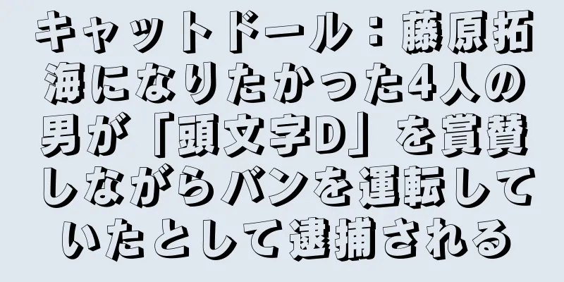 キャットドール：藤原拓海になりたかった4人の男が「頭文字D」を賞賛しながらバンを運転していたとして逮捕される