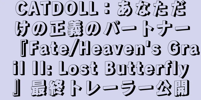 CATDOLL：あなただけの正義のパートナー『Fate/Heaven's Grail II: Lost Butterfly』最終トレーラー公開