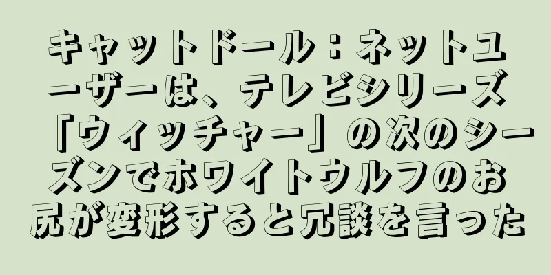 キャットドール：ネットユーザーは、テレビシリーズ「ウィッチャー」の次のシーズンでホワイトウルフのお尻が変形すると冗談を言った