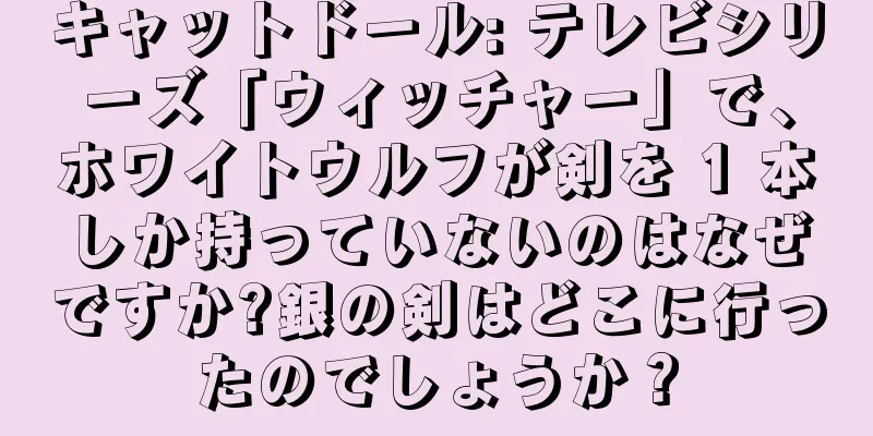 キャットドール: テレビシリーズ「ウィッチャー」で、ホワイトウルフが剣を 1 本しか持っていないのはなぜですか?銀の剣はどこに行ったのでしょうか？