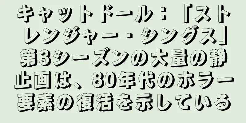 キャットドール：「ストレンジャー・シングス」第3シーズンの大量の静止画は、80年代のホラー要素の復活を示している
