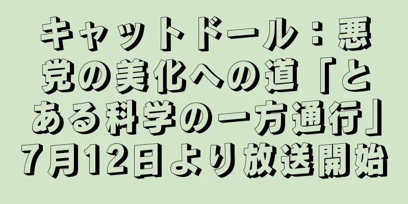 キャットドール：悪党の美化への道「とある科学の一方通行」7月12日より放送開始