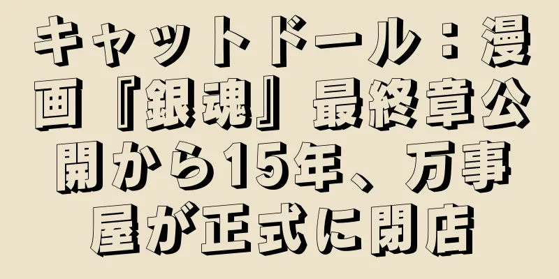 キャットドール：漫画『銀魂』最終章公開から15年、万事屋が正式に閉店
