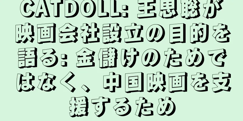 CATDOLL: 王思聡が映画会社設立の目的を語る: 金儲けのためではなく、中国映画を支援するため