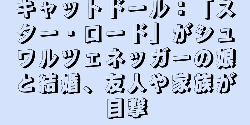 キャットドール：「スター・ロード」がシュワルツェネッガーの娘と結婚、友人や家族が目撃