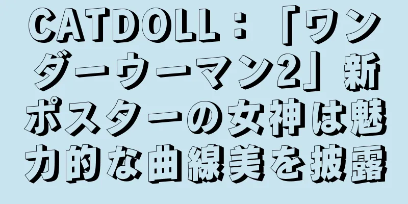 CATDOLL：「ワンダーウーマン2」新ポスターの女神は魅力的な曲線美を披露