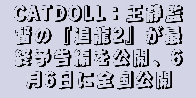 CATDOLL：王静監督の『追龍2』が最終予告編を公開、6月6日に全国公開