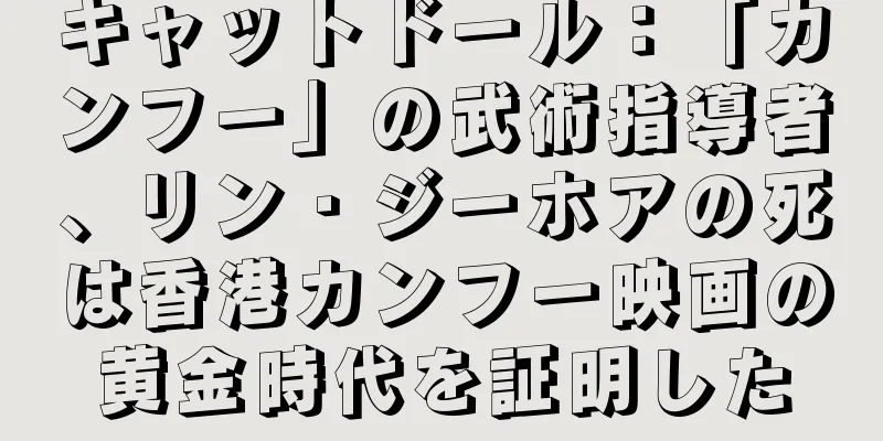 キャットドール：「カンフー」の武術指導者、リン・ジーホアの死は香港カンフー映画の黄金時代を証明した