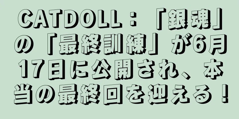 CATDOLL：「銀魂」の「最終訓練」が6月17日に公開され、本当の最終回を迎える！
