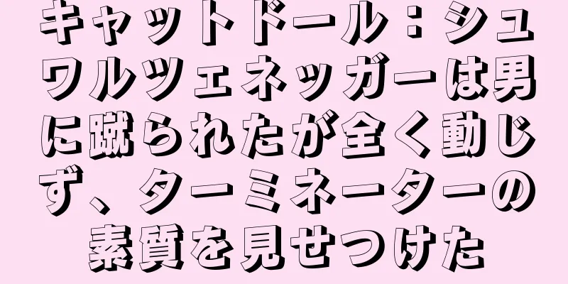 キャットドール：シュワルツェネッガーは男に蹴られたが全く動じず、ターミネーターの素質を見せつけた
