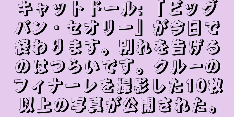 キャットドール: 「ビッグバン・セオリー」が今日で終わります。別れを告げるのはつらいです。クルーのフィナーレを撮影した10枚以上の写真が公開された。