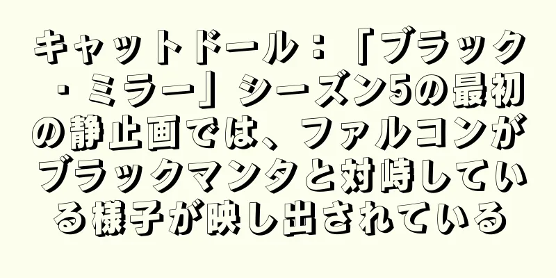 キャットドール：「ブラック・ミラー」シーズン5の最初の静止画では、ファルコンがブラックマンタと対峙している様子が映し出されている