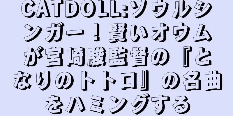 CATDOLL:ソウルシンガー！賢いオウムが宮崎駿監督の『となりのトトロ』の名曲をハミングする