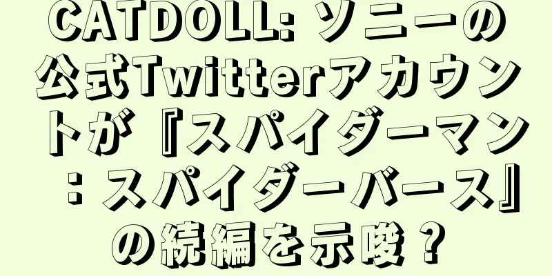 CATDOLL: ソニーの公式Twitterアカウントが『スパイダーマン：スパイダーバース』の続編を示唆？