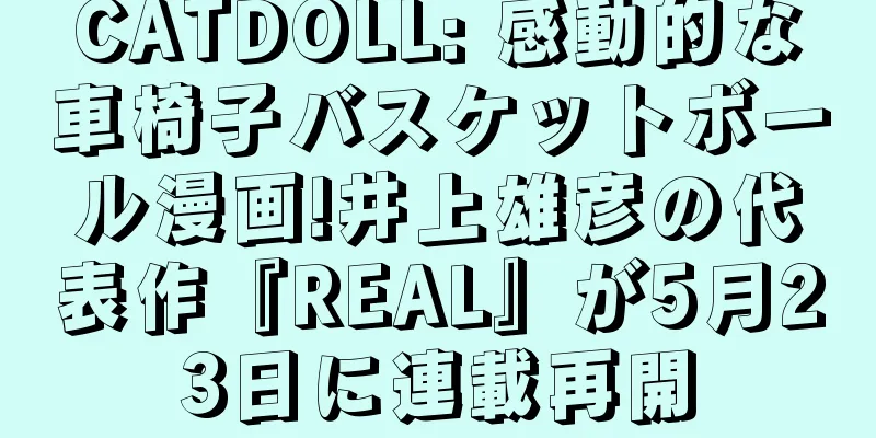 CATDOLL: 感動的な車椅子バスケットボール漫画!井上雄彦の代表作『REAL』が5月23日に連載再開