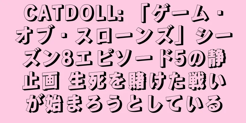CATDOLL: 「ゲーム・オブ・スローンズ」シーズン8エピソード5の静止画 生死を賭けた戦いが始まろうとしている