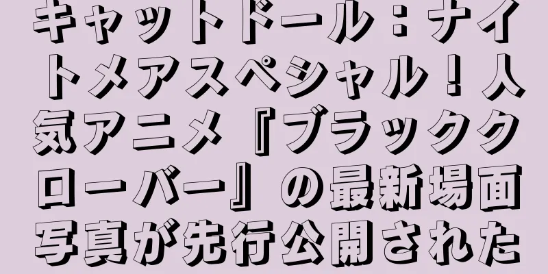 キャットドール：ナイトメアスペシャル！人気アニメ『ブラッククローバー』の最新場面写真が先行公開された