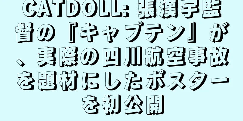 CATDOLL: 張漢宇監督の『キャプテン』が、実際の四川航空事故を題材にしたポスターを初公開