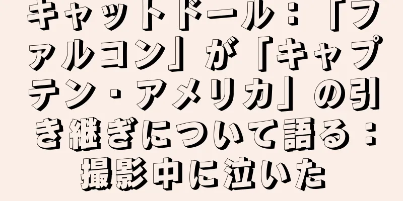 キャットドール：「ファルコン」が「キャプテン・アメリカ」の引き継ぎについて語る：撮影中に泣いた