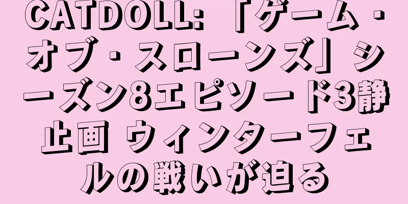 CATDOLL: 「ゲーム・オブ・スローンズ」シーズン8エピソード3静止画 ウィンターフェルの戦いが迫る
