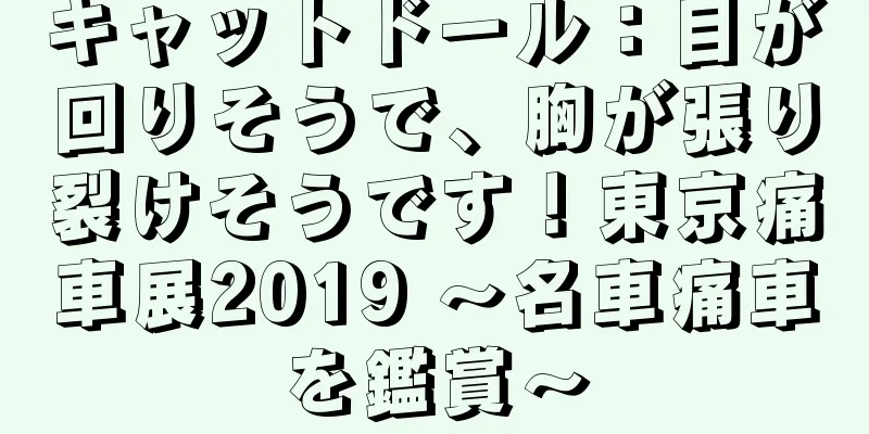 キャットドール：目が回りそうで、胸が張り裂けそうです！東京痛車展2019 ～名車痛車を鑑賞～