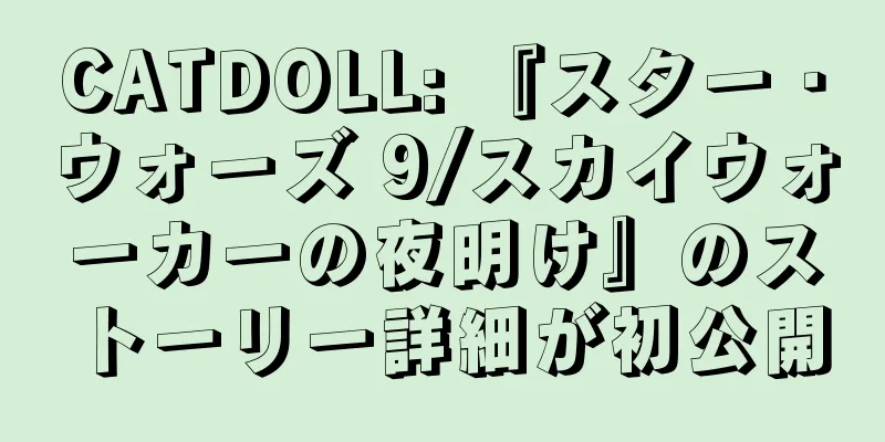 CATDOLL: 『スター・ウォーズ 9/スカイウォーカーの夜明け』のストーリー詳細が初公開