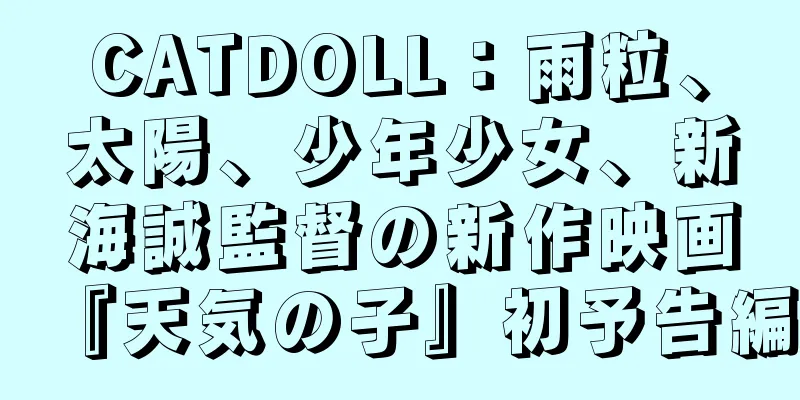 CATDOLL：雨粒、太陽、少年少女、新海誠監督の新作映画『天気の子』初予告編