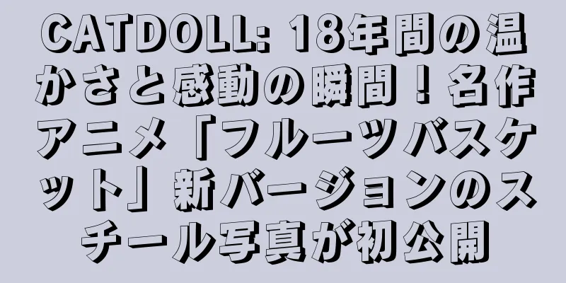 CATDOLL: 18年間の温かさと感動の瞬間！名作アニメ「フルーツバスケット」新バージョンのスチール写真が初公開