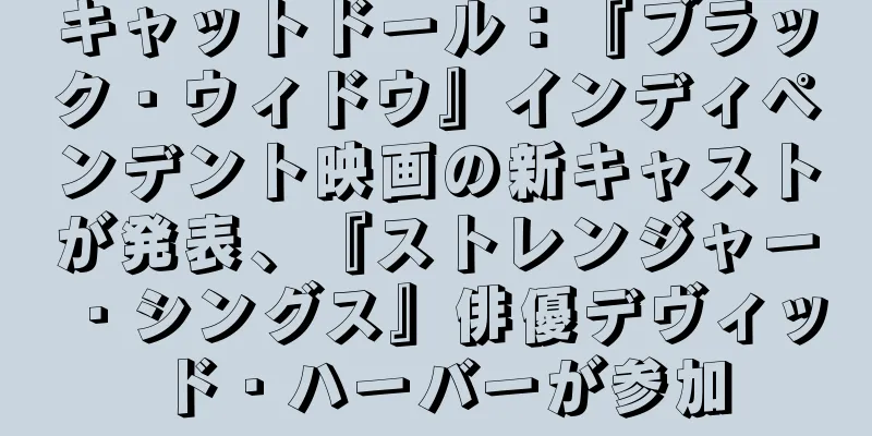 キャットドール：『ブラック・ウィドウ』インディペンデント映画の新キャストが発表、『ストレンジャー・シングス』俳優デヴィッド・ハーバーが参加