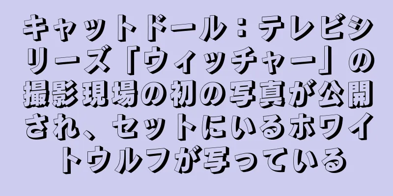 キャットドール：テレビシリーズ「ウィッチャー」の撮影現場の初の写真が公開され、セットにいるホワイトウルフが写っている