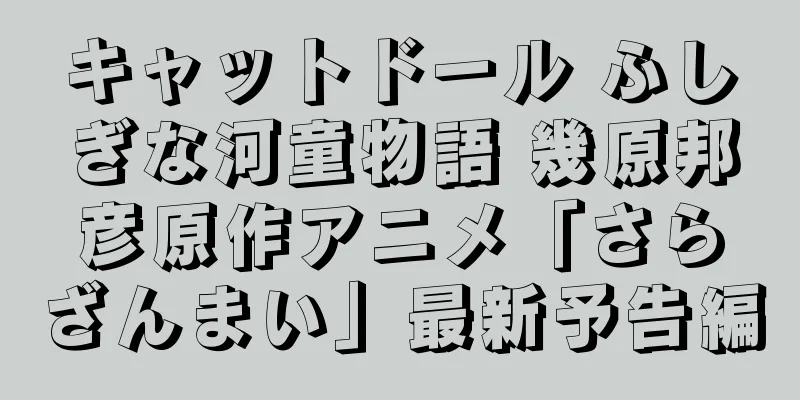 キャットドール ふしぎな河童物語 幾原邦彦原作アニメ「さらざんまい」最新予告編