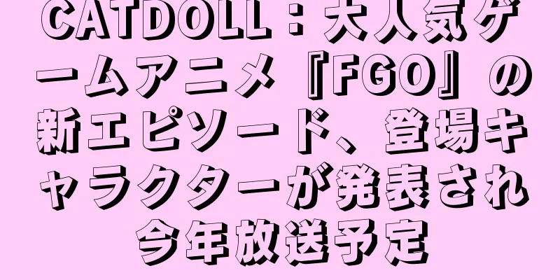 CATDOLL：大人気ゲームアニメ『FGO』の新エピソード、登場キャラクターが発表され今年放送予定