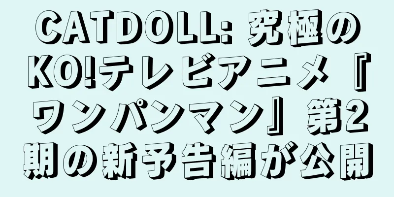 CATDOLL: 究極のKO!テレビアニメ『ワンパンマン』第2期の新予告編が公開