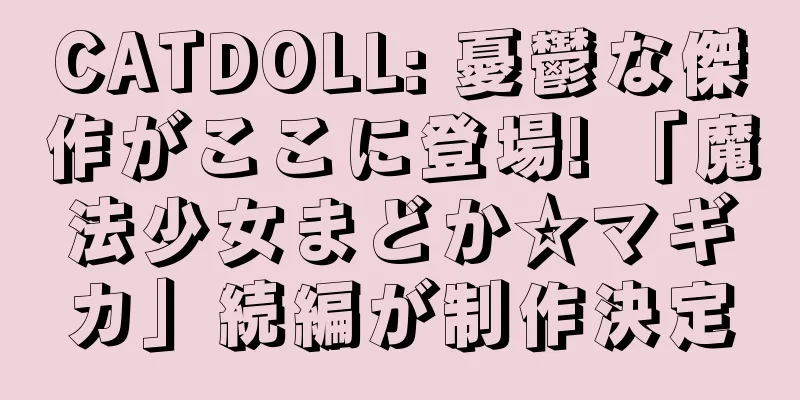 CATDOLL: 憂鬱な傑作がここに登場! 「魔法少女まどか☆マギカ」続編が制作決定