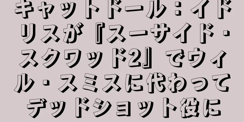 キャットドール：イドリスが『スーサイド・スクワッド2』でウィル・スミスに代わってデッドショット役に