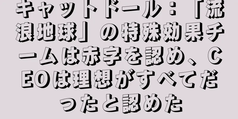 キャットドール：「流浪地球」の特殊効果チームは赤字を認め、CEOは理想がすべてだったと認めた
