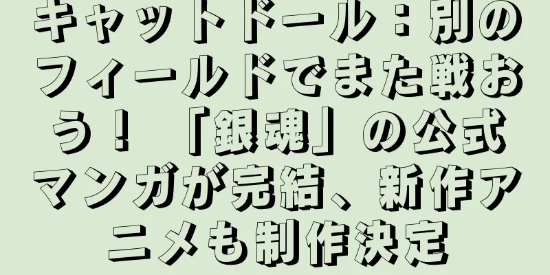 キャットドール：別のフィールドでまた戦おう！ 「銀魂」の公式マンガが完結、新作アニメも制作決定