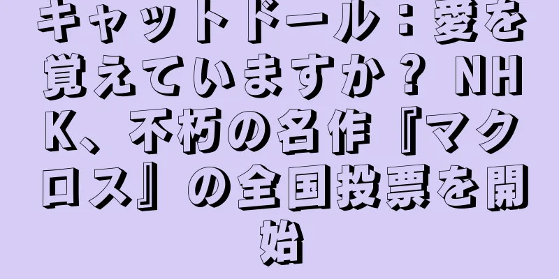 キャットドール：愛を覚えていますか？ NHK、不朽の名作『マクロス』の全国投票を開始