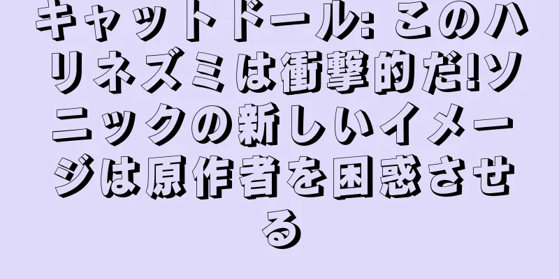 キャットドール: このハリネズミは衝撃的だ!ソニックの新しいイメージは原作者を困惑させる