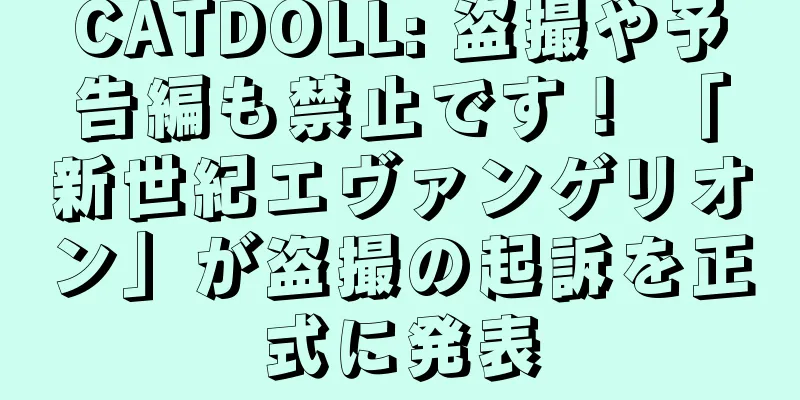 CATDOLL: 盗撮や予告編も禁止です！ 「新世紀エヴァンゲリオン」が盗撮の起訴を正式に発表