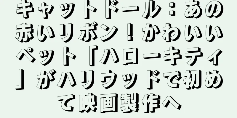 キャットドール：あの赤いリボン！かわいいペット「ハローキティ」がハリウッドで初めて映画製作へ