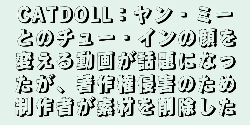 CATDOLL：ヤン・ミーとのチュー・インの顔を変える動画が話題になったが、著作権侵害のため制作者が素材を削除した