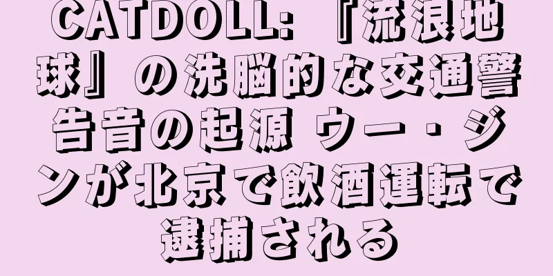 CATDOLL: 『流浪地球』の洗脳的な交通警告音の起源 ウー・ジンが北京で飲酒運転で逮捕される
