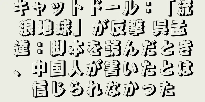 キャットドール：「流浪地球」が反撃 呉孟達：脚本を読んだとき、中国人が書いたとは信じられなかった
