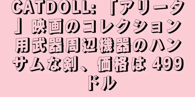 CATDOLL: 「アリータ」映画のコレクション用武器周辺機器のハンサムな剣、価格は 499 ドル