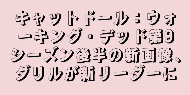 キャットドール：ウォーキング・デッド第9シーズン後半の新画像、ダリルが新リーダーに