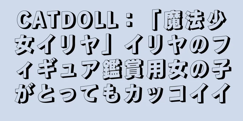 CATDOLL：「魔法少女イリヤ」イリヤのフィギュア鑑賞用女の子がとってもカッコイイ